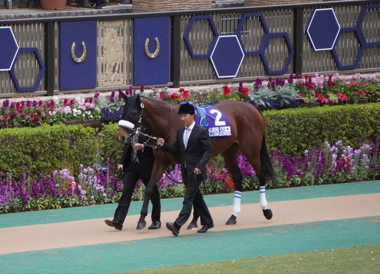 20年ジャパンCで有終の美を飾ったアーモンドアイ　©Satoshi Hiramatsu