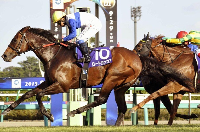 2013年のスプリンターズSを制した際のロードカナロア ／ photograph by KYODO