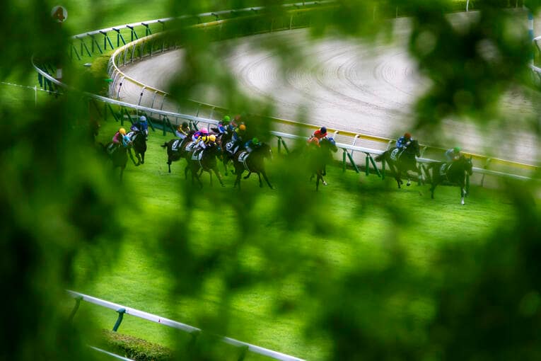 新潟競馬場 ／ photograph by photostud