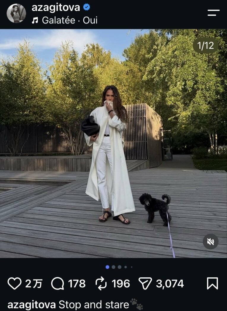 最近のSNSで見かけるのは新しく飼い始めた小型犬ばかり　（本人のインスタグラムより）
