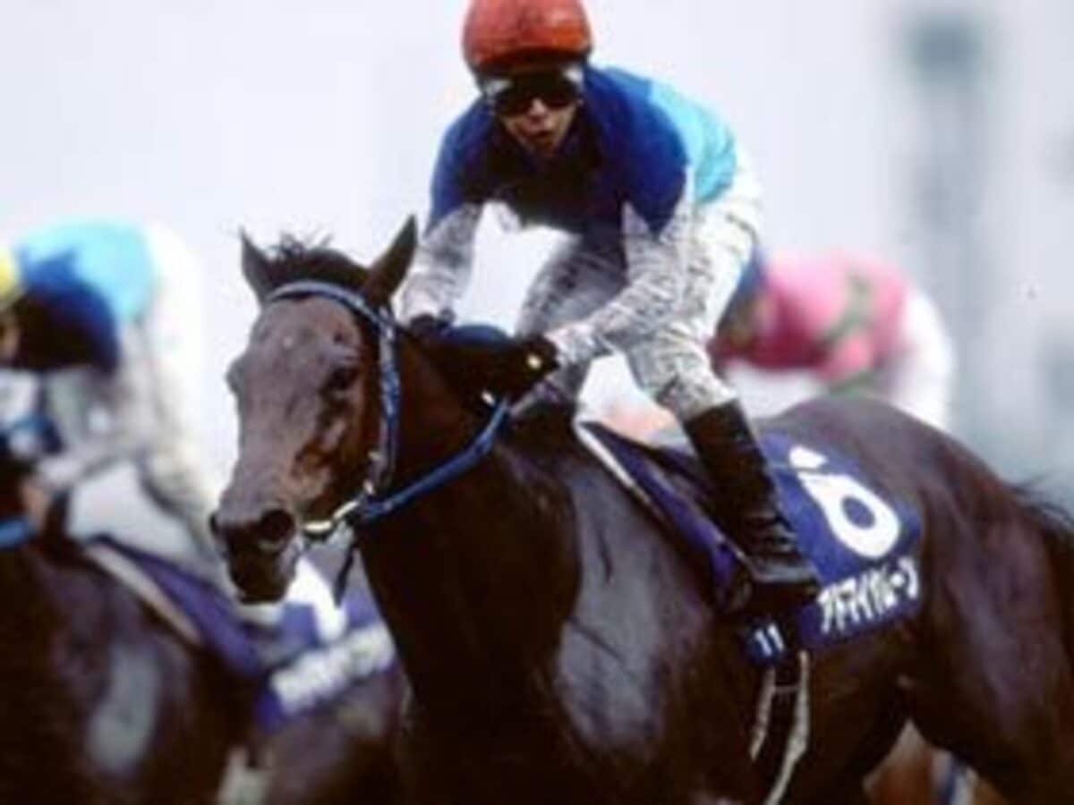 アドマイヤムーンの40億移籍への期待。 - 競馬 - Number Web - ナンバー
