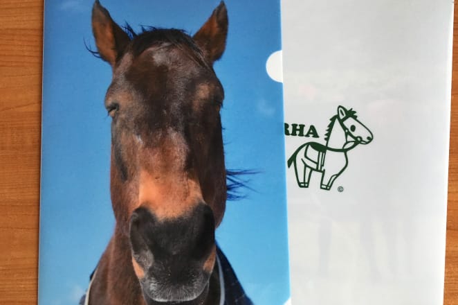 にっこりと微笑むナイスネイチャのクリアファイル ©The Retired Horse Association