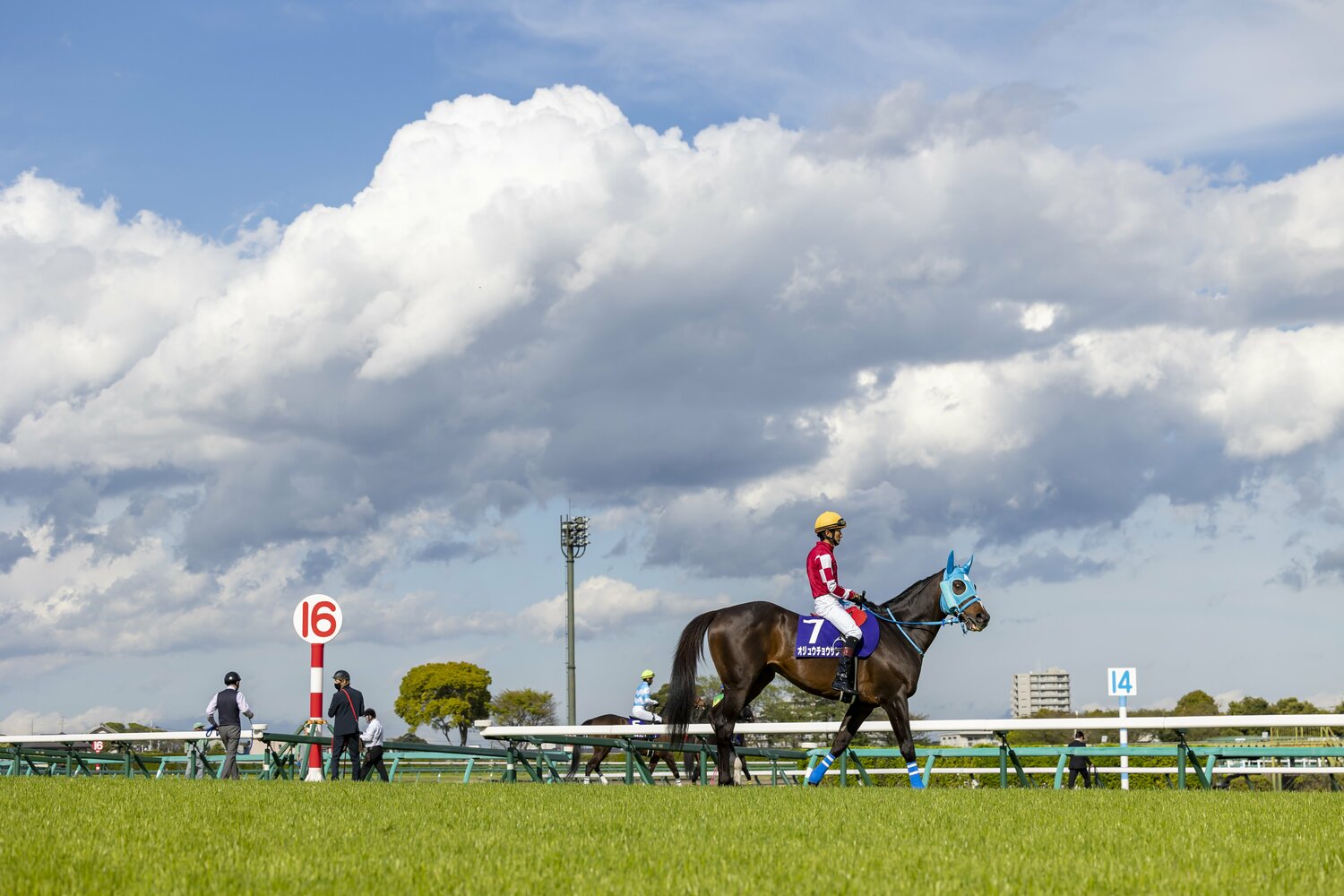 2022年4月、中山グランドジャンプ6勝、J・GI9勝という驚異の記録を打ち立てた　©Photostud