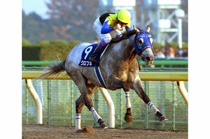 武豊も強さに呆れた!? クロフネ、衝撃の武蔵野Sを振り返る…ダートでは“超ワールドクラス”だった【追悼】