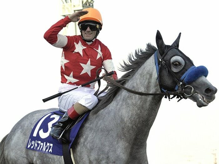 高松宮記念とドバイWCデーの3GI。スプリント王決定戦はサブじゃない！＜Number Web＞ photograph by Kyodo News