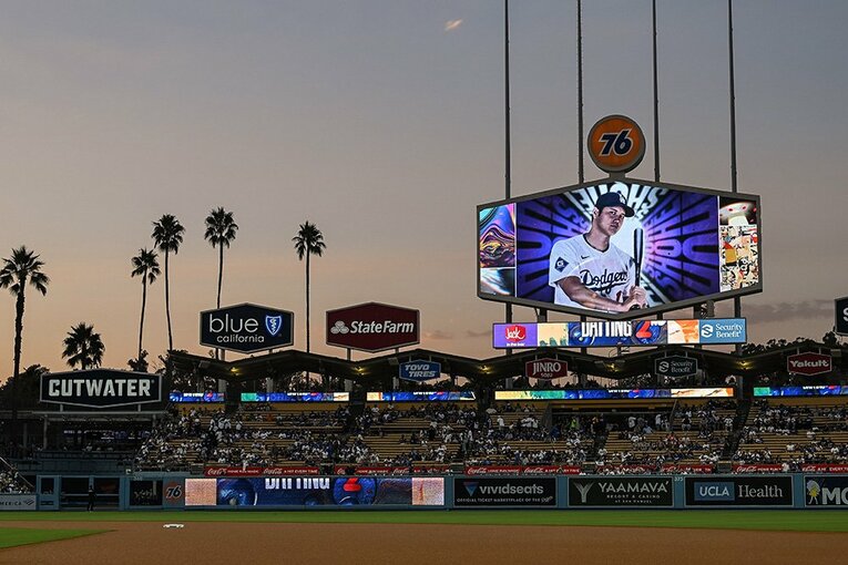 【2024年9月撮影・ショウヘイの愛される日々】 ／ photograph by Nanae Suzuki