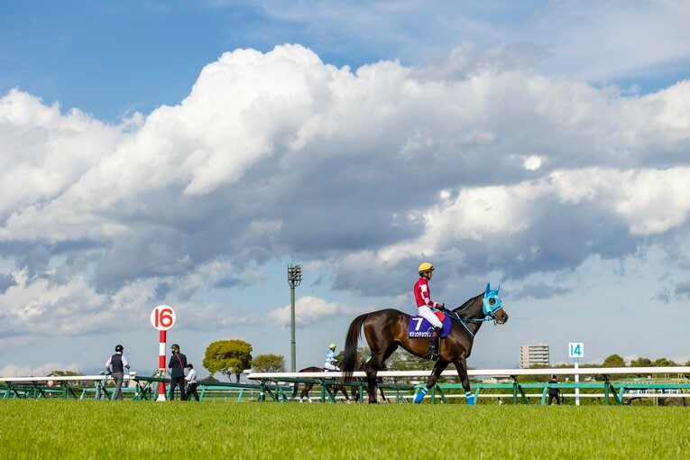 中山グランドジャンプでのオジュウチョウサン　©Photostud