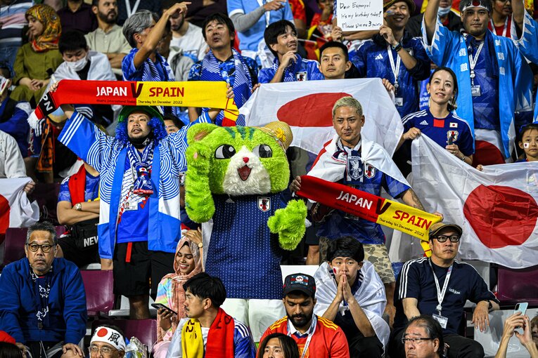 観客席にいた“ナゾのネコ”　©Takuya Sugiyama/JMPA