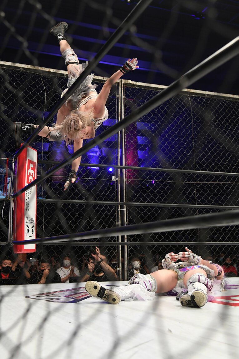 なつぽいのフェアリアルギフト