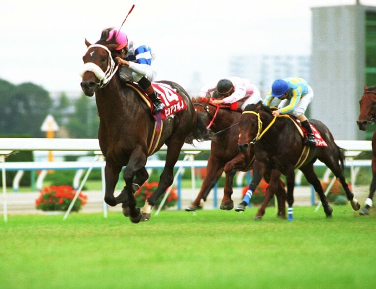 現役時代に巨体ぶりが話題になったヒシアケボノ。ウマ娘・ヒシアケボノは180cmの高身長キャラとして描かれている　©Sankei Shimbun