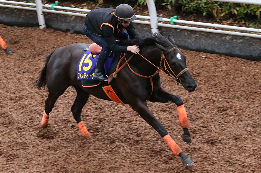 ディープ以来の無敗皐月賞馬は牝馬 ファンディーナは素質だけで3連勝中 競馬 Number Web ナンバー