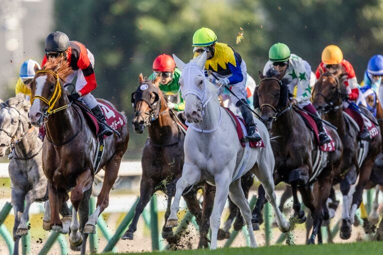 札幌記念のソダシ ／ photograph by photostud