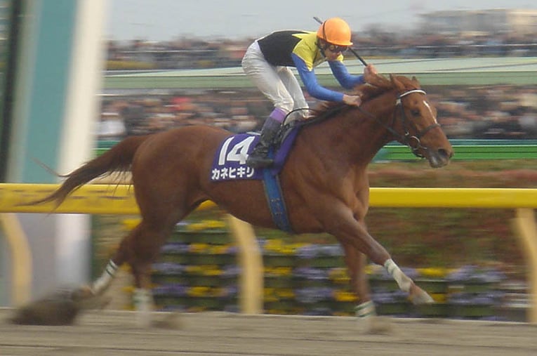 06年カネヒキリのフェブラリーステークス。角居師のGIラストレースは今年の同じレースになる ／ photograph by Satoshi Hiramatsu