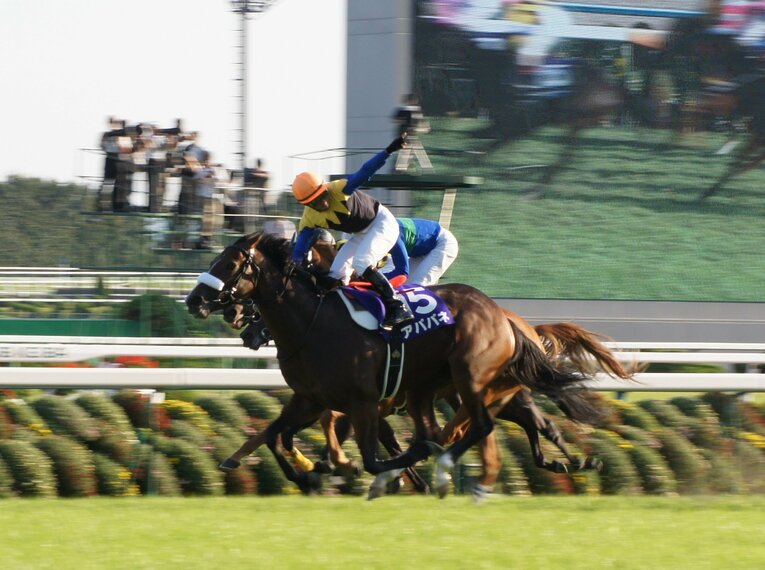 2010年の秋華賞を制覇した際のアパパネ　©Satoshi Hiramatsu