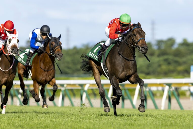 新潟2歳Sを制したキタウイング ／ photograph by photostud