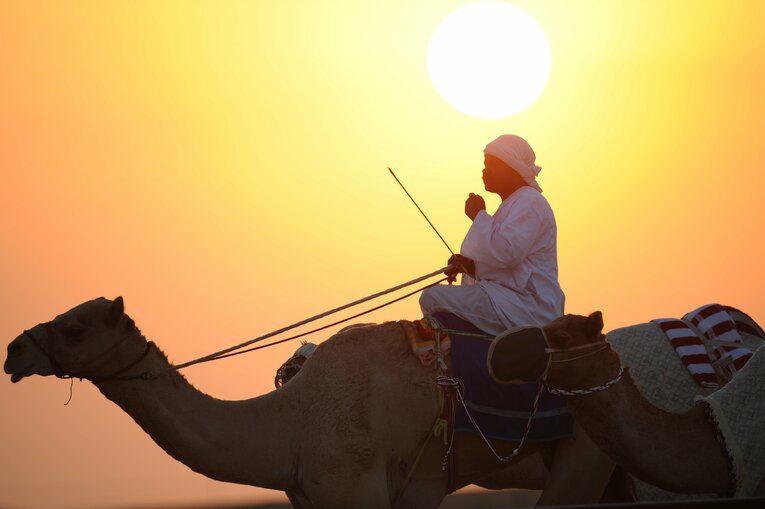 ラクダレース　©Bungeishunju