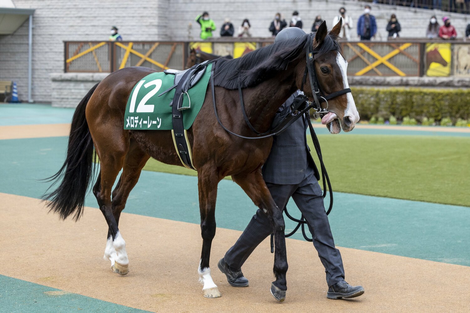 姉のメロディーレーン　©photostud