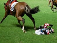 サイレンススズカと武豊「乗っていて、ほんとうにたのしくなる