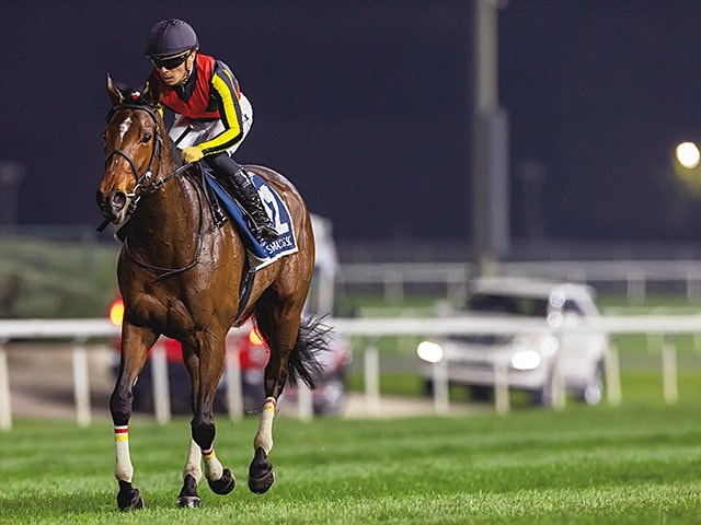 まねき馬 No.2470リバティアイランド追悼SP - メルカリ