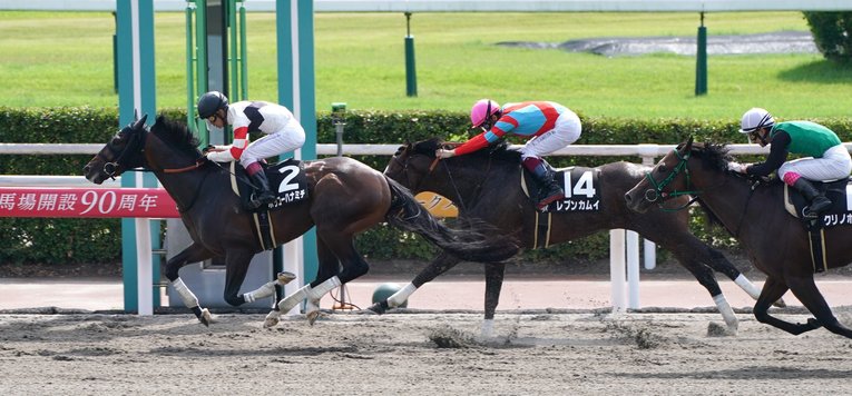 前走インディアトロフィーでは見事一着だったホッコーハナミチ©Sankei Shinbun