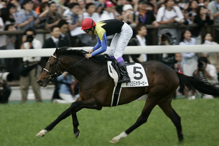 2005年ダービー、グレートマジシャンの父・ディープインパクト　©Takuya Sugiyama