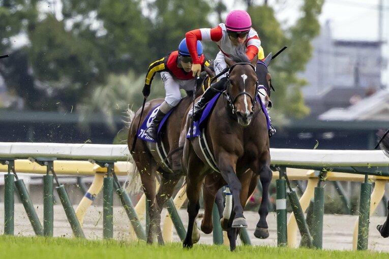 今年のNHKマイルを制したダノンスコーピオン　©Photostud