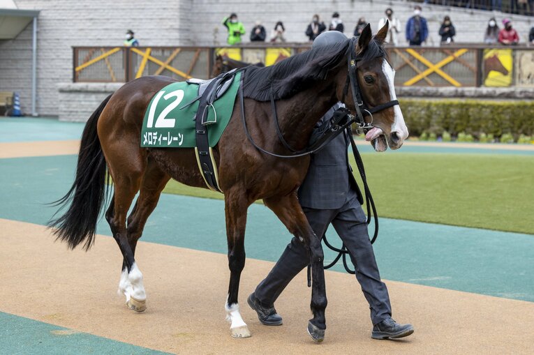 姉のメロディーレーン　©photostud