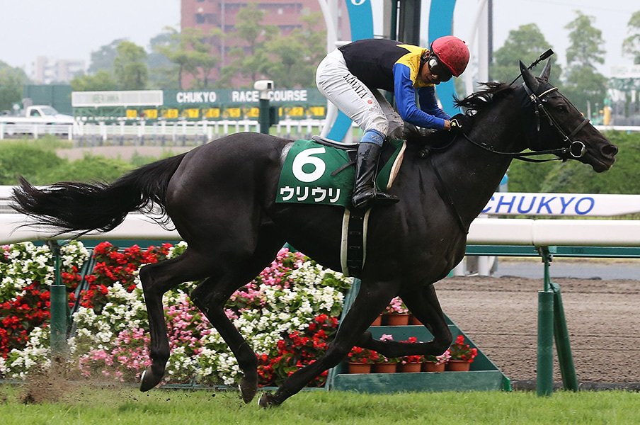 高松宮記念は「怪物」の姉が怖い。前が競れば、後方一気が届く気配。<Number Web> photograph by NIKKAN SPORTS