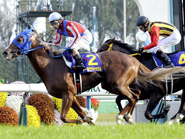キセキ 17年 菊花賞 現地的中単勝馬券 希少 中堅ジョッキーと