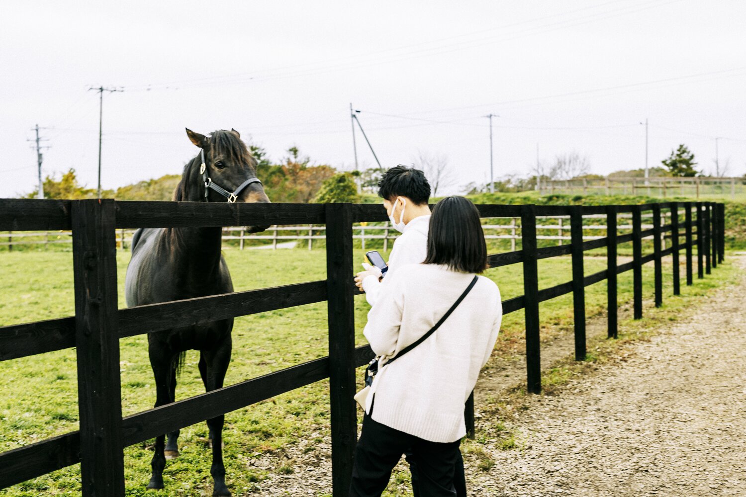 予約なしで馬と交流ができるリゾートファーム。平日にも関わらず、北海道以外の関東や関西からもお客さんが訪れていた ©Kiichi Matsumoto