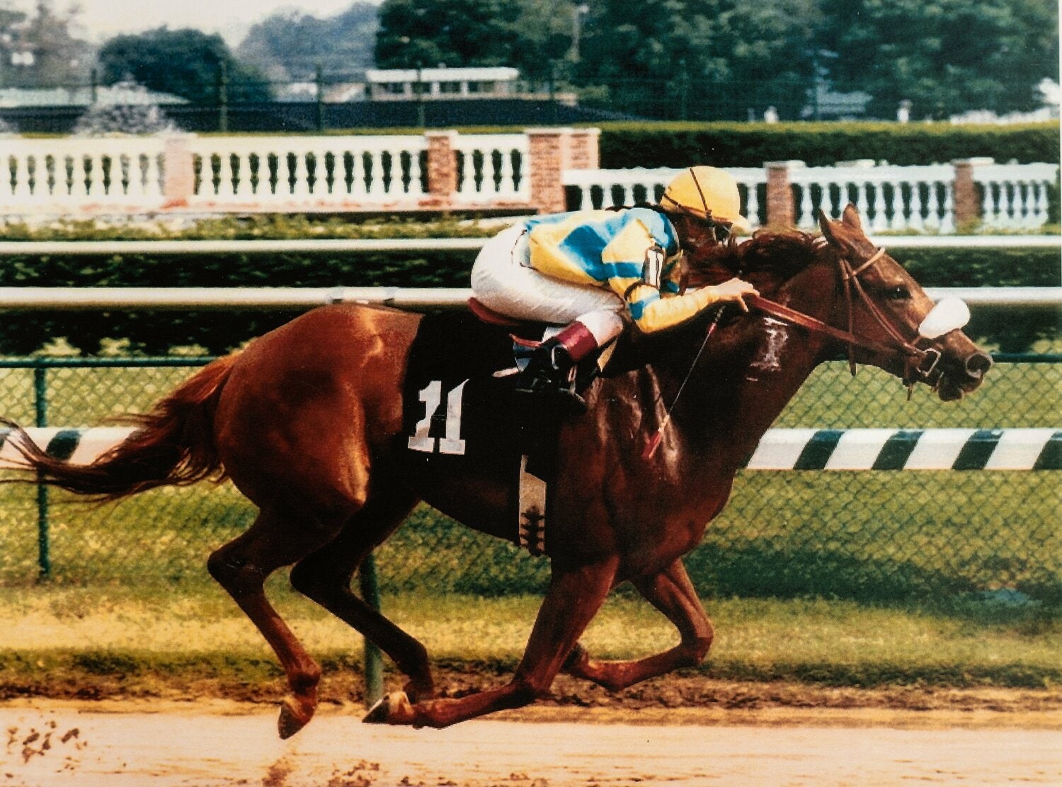 アメリカ時代 写真は本人提供