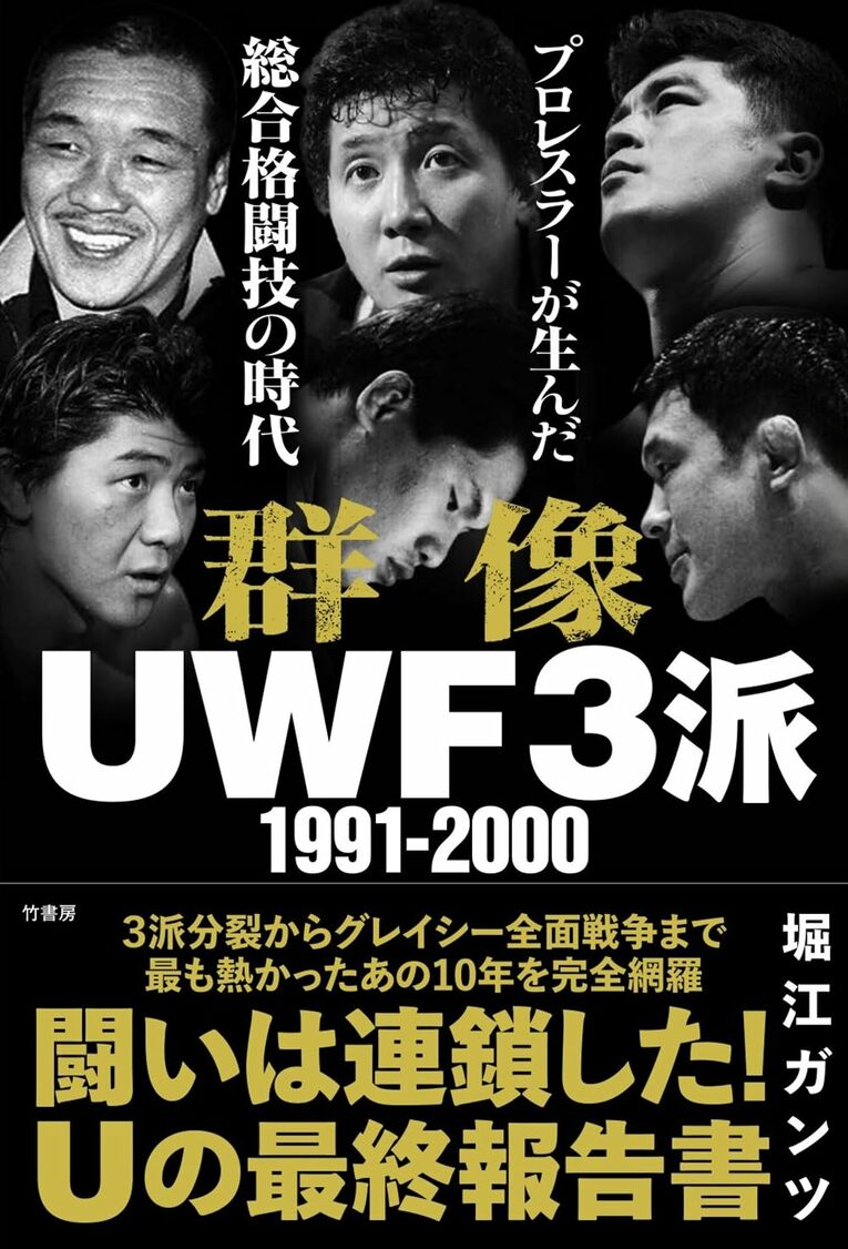 『群像UWF3派 1991-2000 プロレスラーが生んだ総合格闘技の時代』　クリックするとAmazonにジャンプします