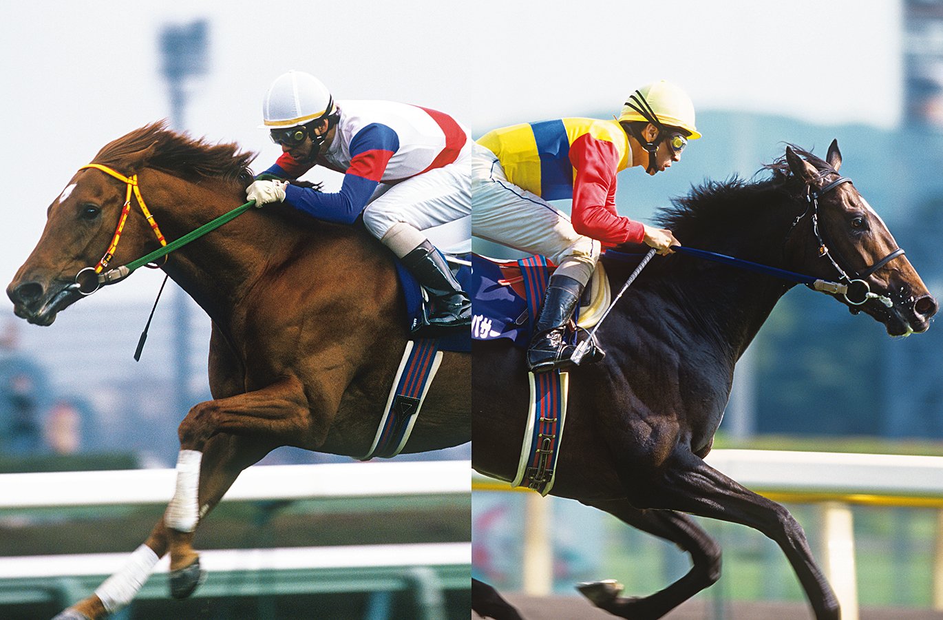 1998年の選択は正解だったのか？」グラスワンダーとエルコンドルパサー