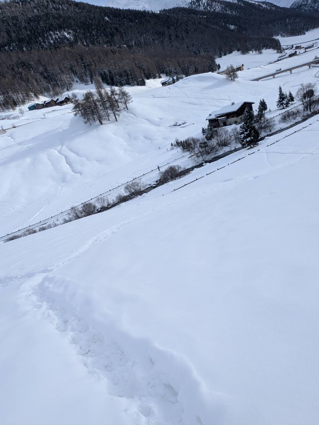 こ、この道を行けと!?　©Yumiko Yanai