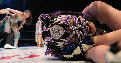 img_20683d29fe0f12bdb1c04858ab