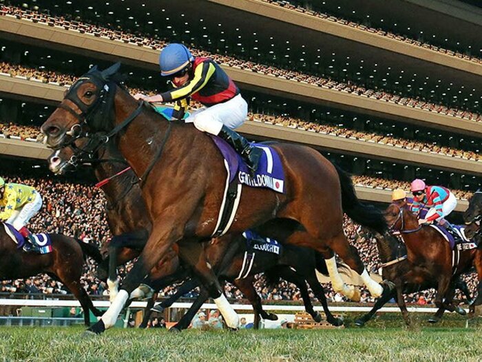 ジェンティルJC勝利も、物寂しく――。凱旋門が遠ざかる、日本競馬の現状。＜Number Web＞ photograph by KYODO