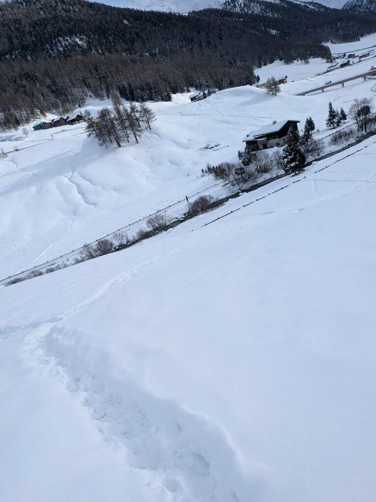 こ、この道を行けと!?　©Yumiko Yanai