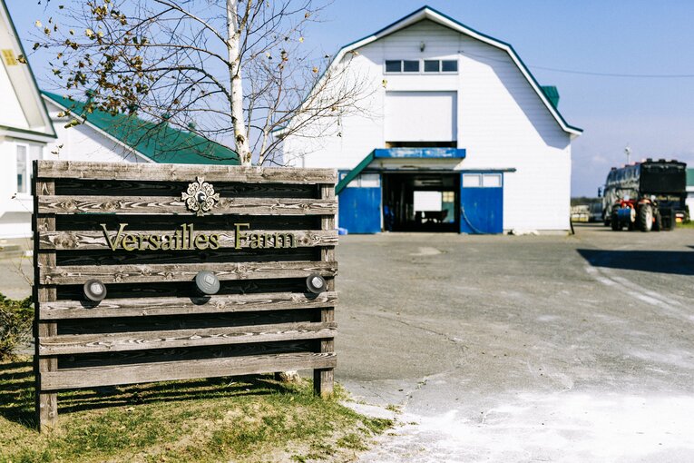 引き継いだヴェルサイユファーム（旧三城牧場）　©Kiichi Matsumoto