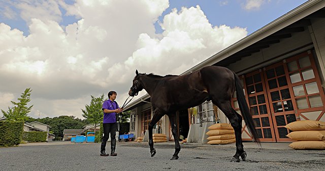 宝塚記念に登場する「最強の1勝馬」。2着7回のエタリオウが今度こそ