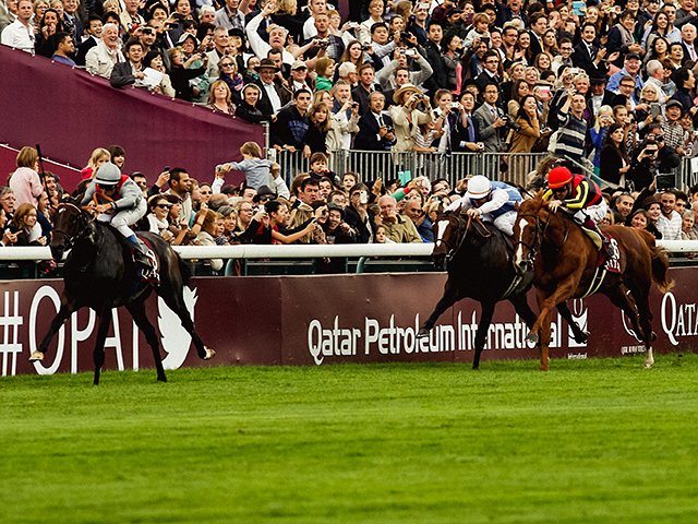 み*さ様 競馬 オルフェーヴル タオル ラストラン 凱旋門賞 限定 セット み*さ様 競馬 オルフェーヴル タオル ラストラン 凱旋門賞 限定
