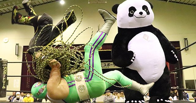 パンダプロレス 直接受渡し 3／4）DDTでササダンゴがパンダと激突！パワポの名手が語る“勝利”の