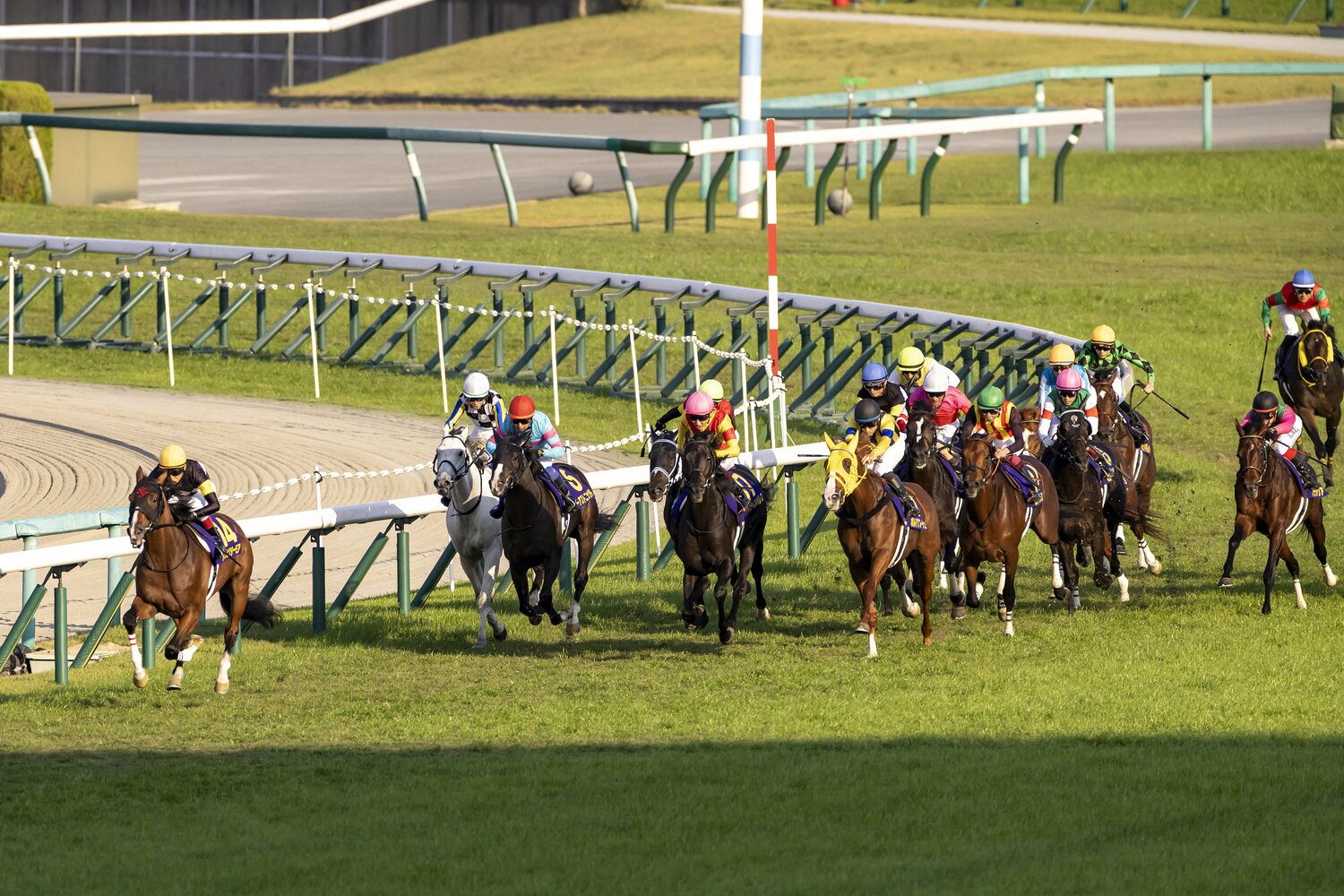 抜け出したアスクビクターモア。ボルドグフーシュの猛追を鼻差でしのいだ