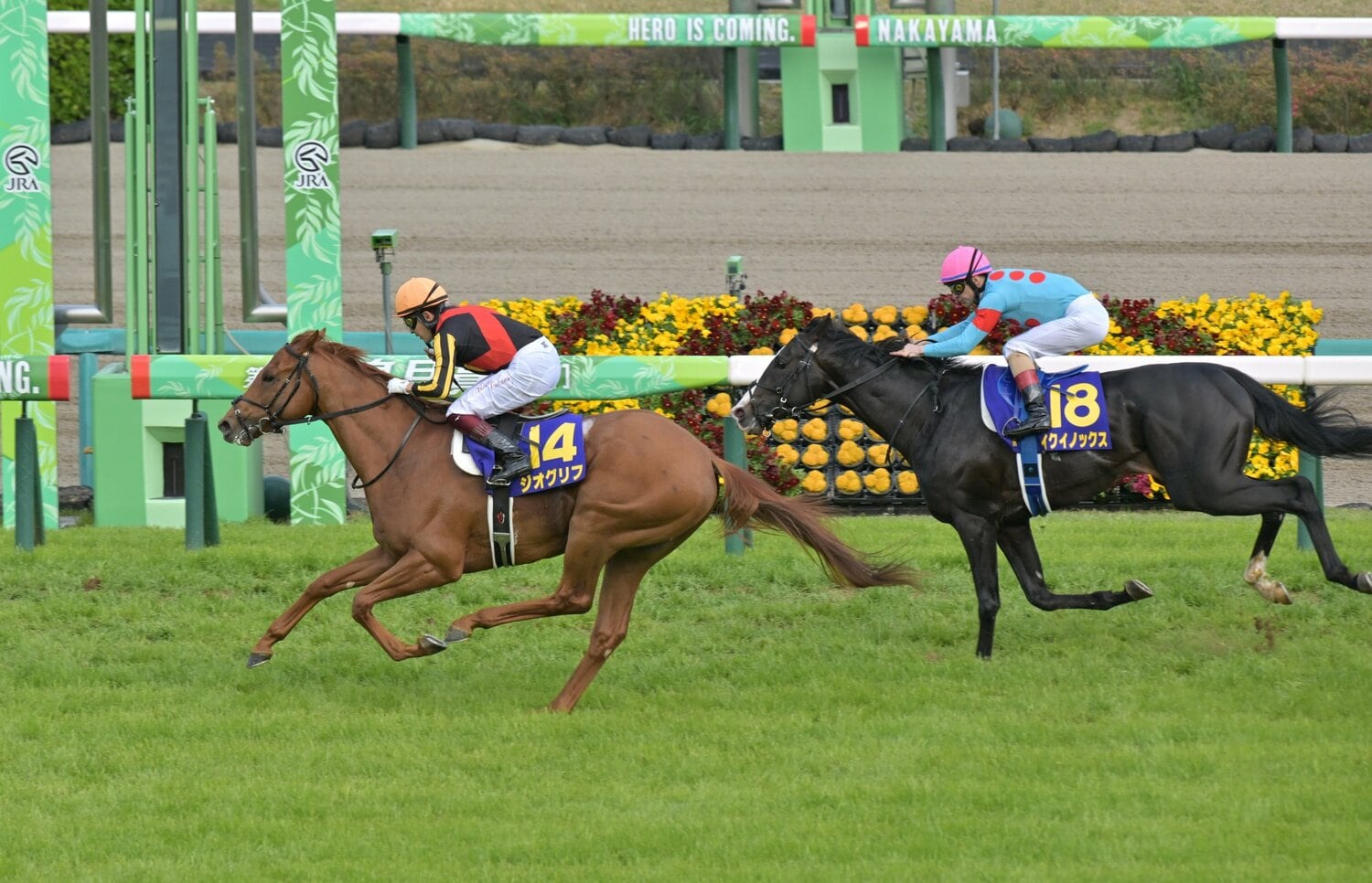 今年4月17日の皐月賞。1着ジオグリフ（福永）、2着イクイノックス（ルメール）　©Sankei Shimbun