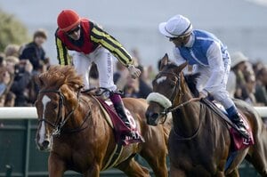 “オルフェーヴルまさかの斜行”がもう13年前…海外競馬評論家・合田直弘に聞く凱旋門賞の攻略法「日本馬は迷宮に入り込んでしまった」