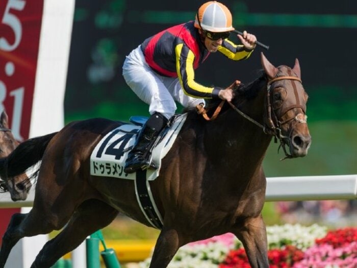 ノーザンファームの男たちが語る”歴代最強のダービー馬”「2冠馬ドゥラメンテは集大成」「ディープの仔は馬房を出た瞬間にわかる」＜Number Web＞ photograph by Takuya Sugiyama