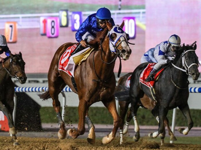 《ドバイWCデー》日本馬22頭が出走、現地で調教師＆騎手が明かした最新の状態とは？ ルメールが「チャンスがある」と断言した馬も＜Number Web＞ photograph by AFLO