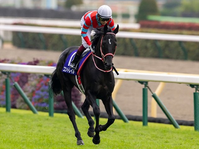 現地観戦馬券】2020年 ジャパンカップ 1,2,3着馬券 現地観戦馬券】2020