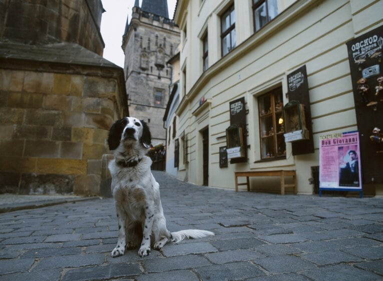 チェコの街中　©Raita Yamamoto