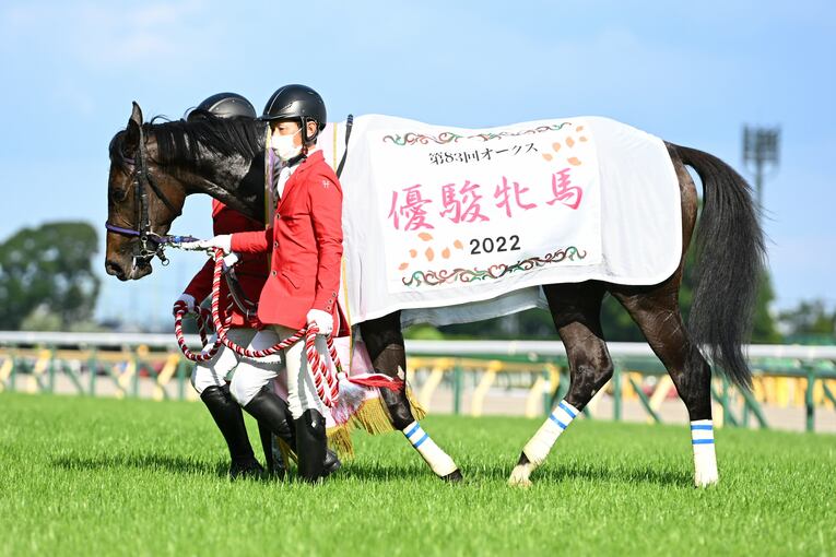 オークス直前に顔面を蹴られて放馬…発走“15分の大遅延”はなぜ起きたのか？「多くの馬の戦いは、スタート前に終わってしまった」(28)