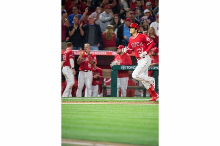 2018年©Nanae Suzuki